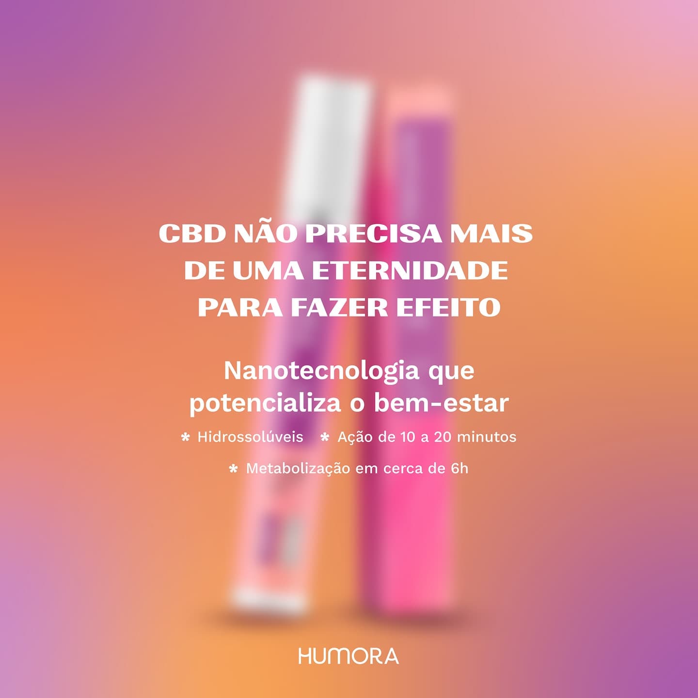 Post 6