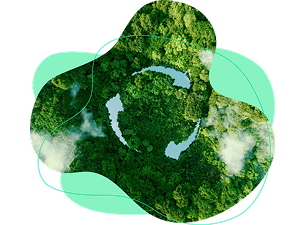 Arte de imagem aérea sob uma floresta